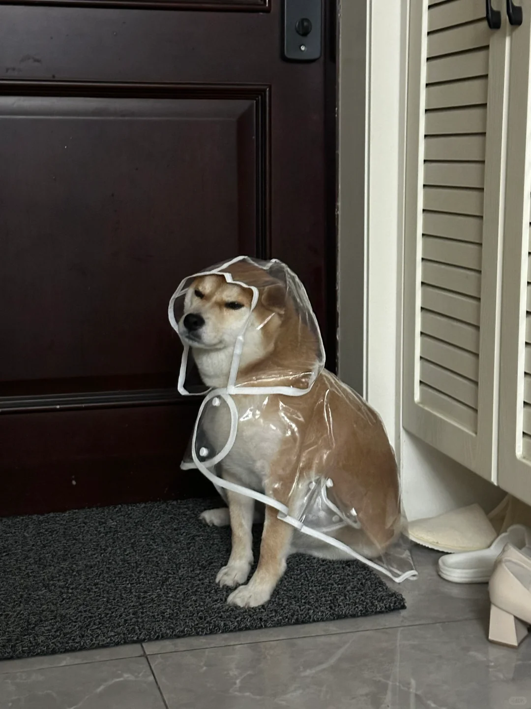 梅雨季什么时候过去啊啊啊
