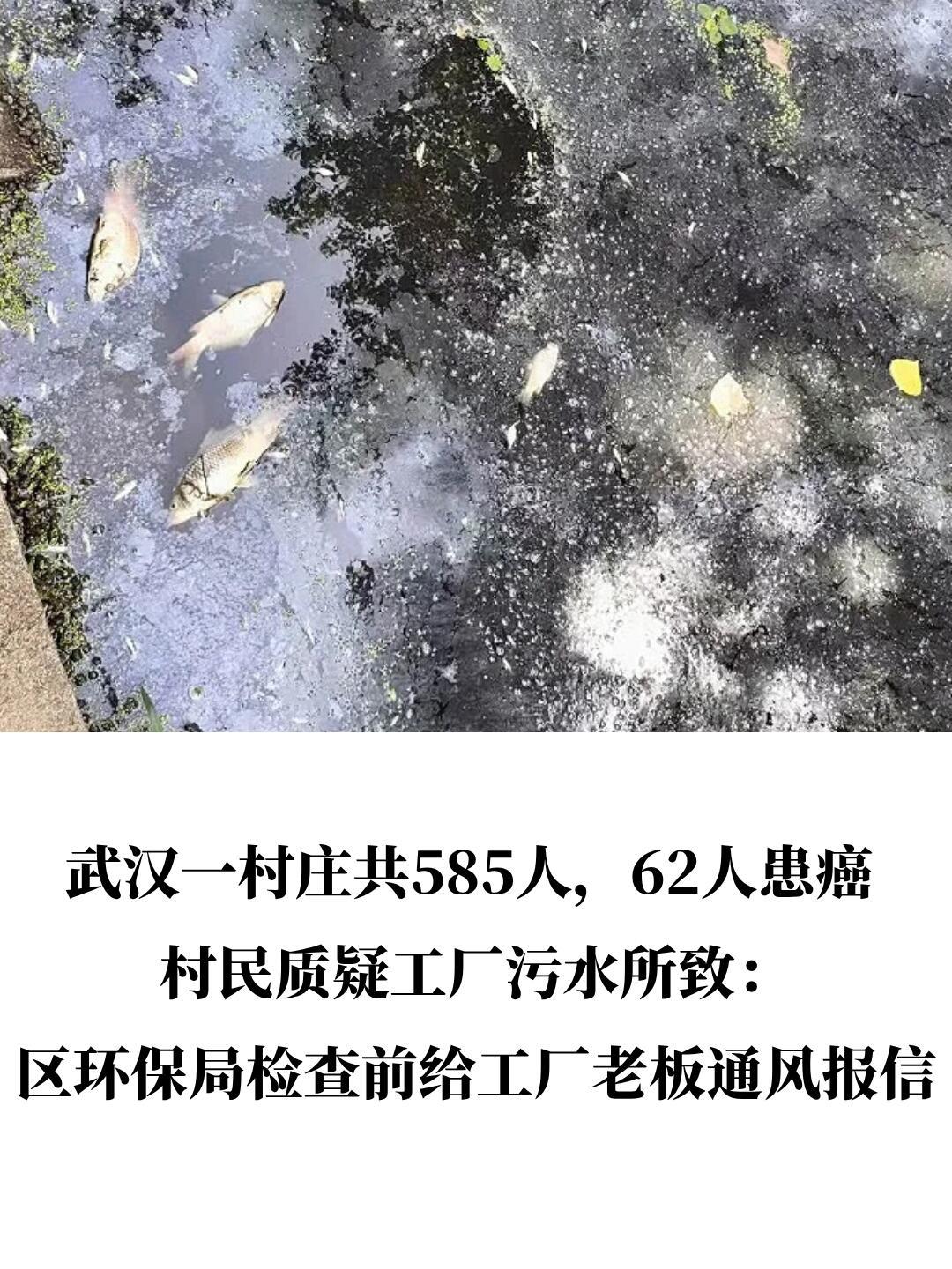 这事儿听着真让人心里发堵。武汉新洲黄土坡村的徐文阶一家，简直是被厄运盯上了一样。