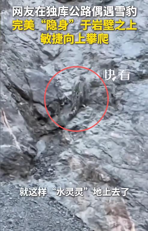 “上新华社了！”新疆，一对男女驾车行驶在独库公路，副驾女子不经意间望向岩壁，当场