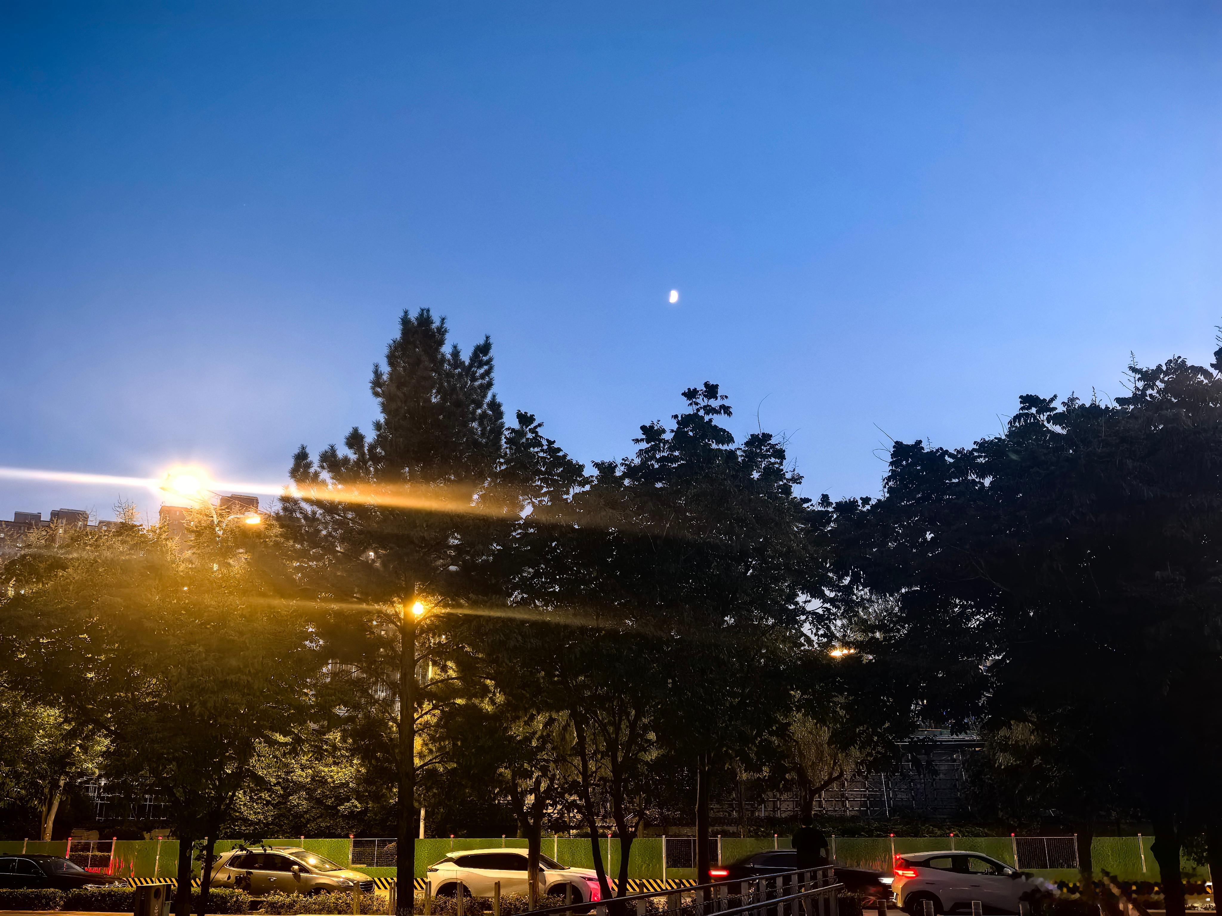 今天是七夕节?管什么节，反正我天天都在过节。 
