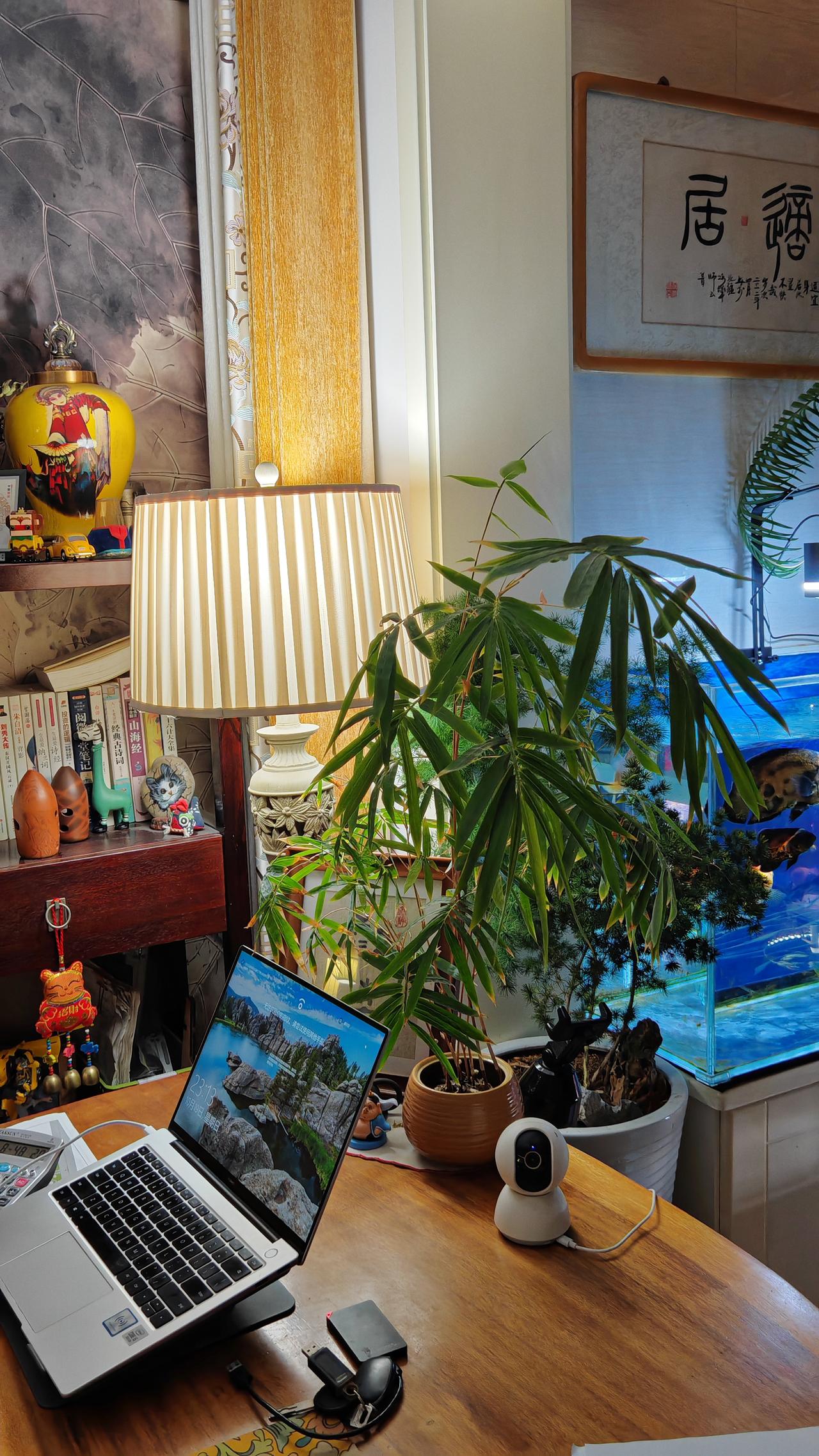 发现一个怪现象，今年失业的人挺多，都说不好找工作，吊诡的是Hr竟然说人不好招，明