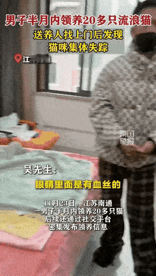 真是令人心酸！一男子半个月内领养了20多只猫，爱猫人士吴先生上门回访的时候发现只