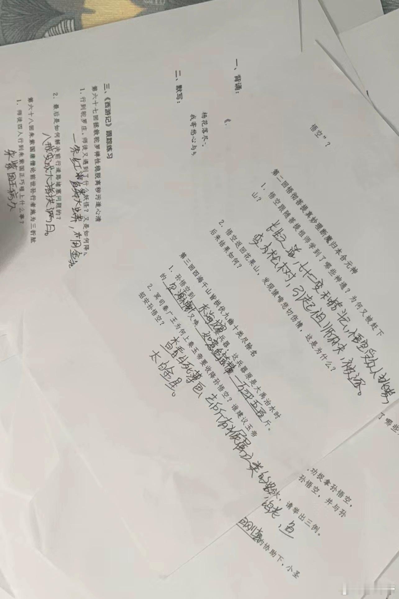 这新华中学的阅读理解还挺好玩 