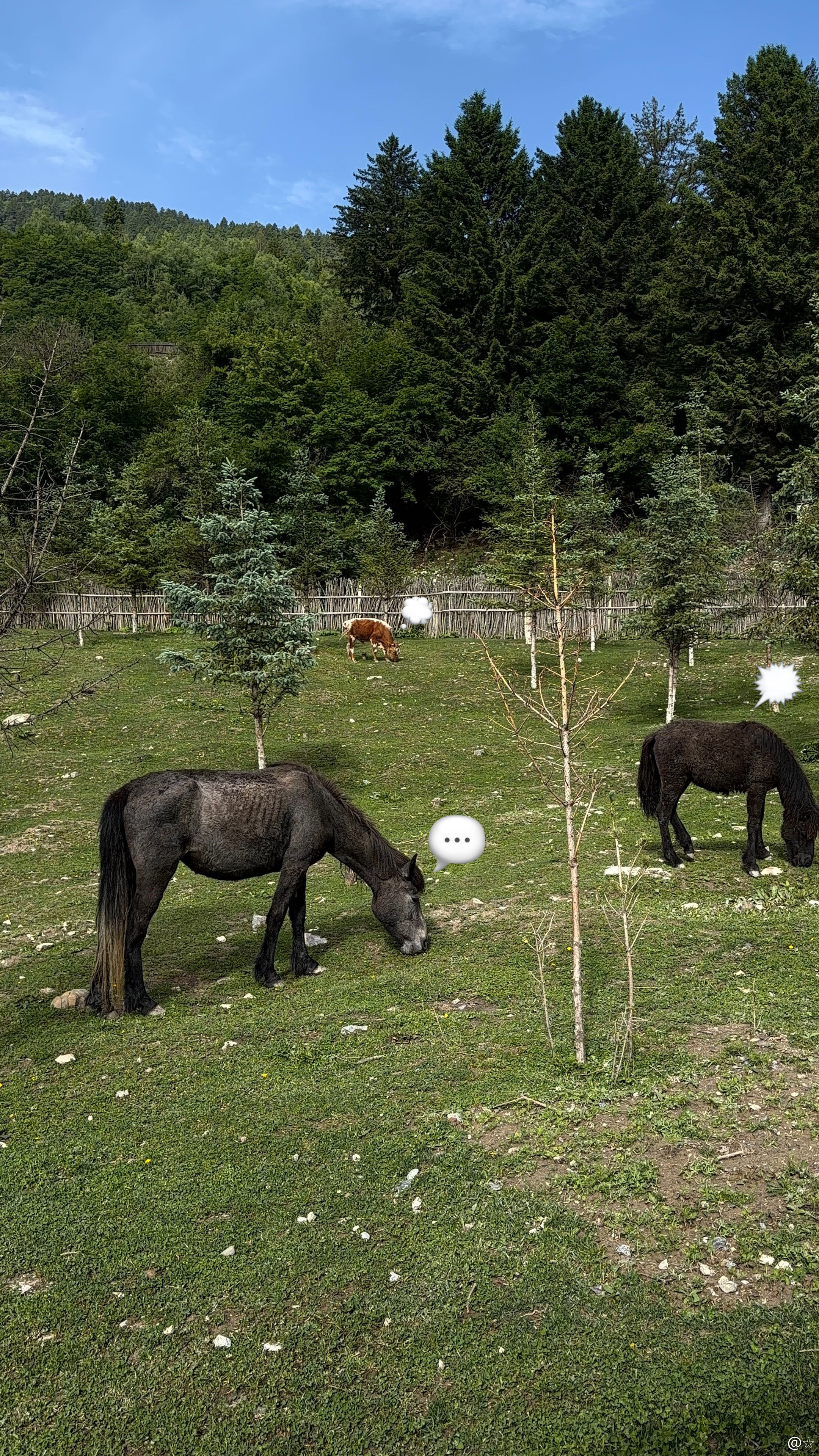 张峻豪太萌了……给🐴加emoji宝宝宝宝宝宝宝宝宝宝 