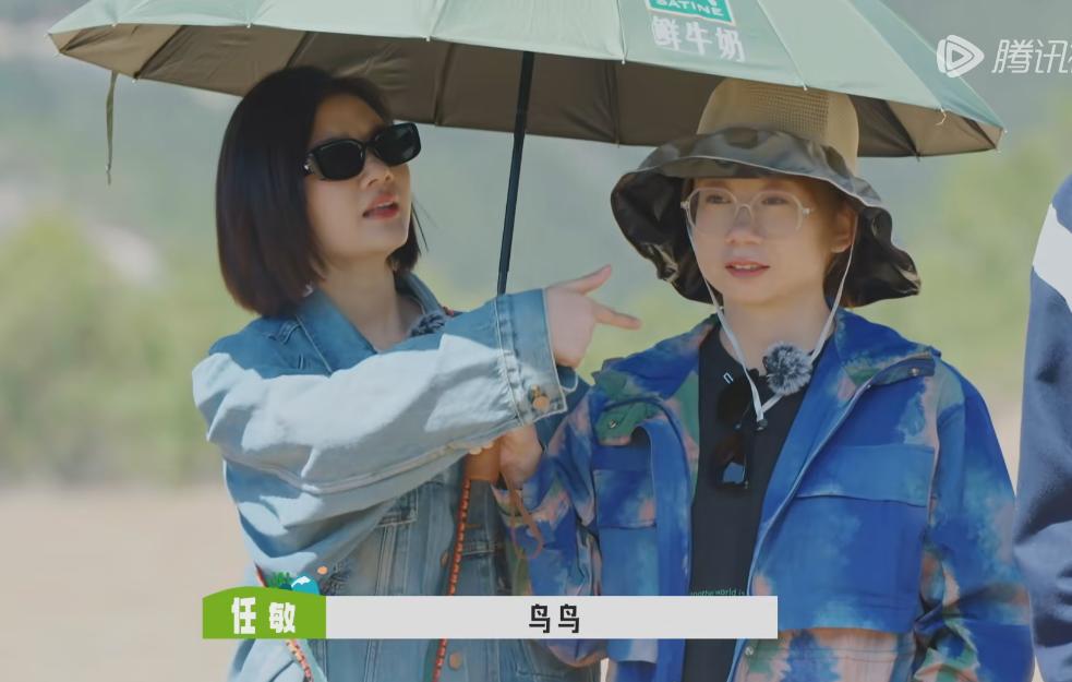 任敏是对鸟鸟有误解还是对社恐有什么误解？桃花坞这一季又有集体睡觉的行为艺术，大部