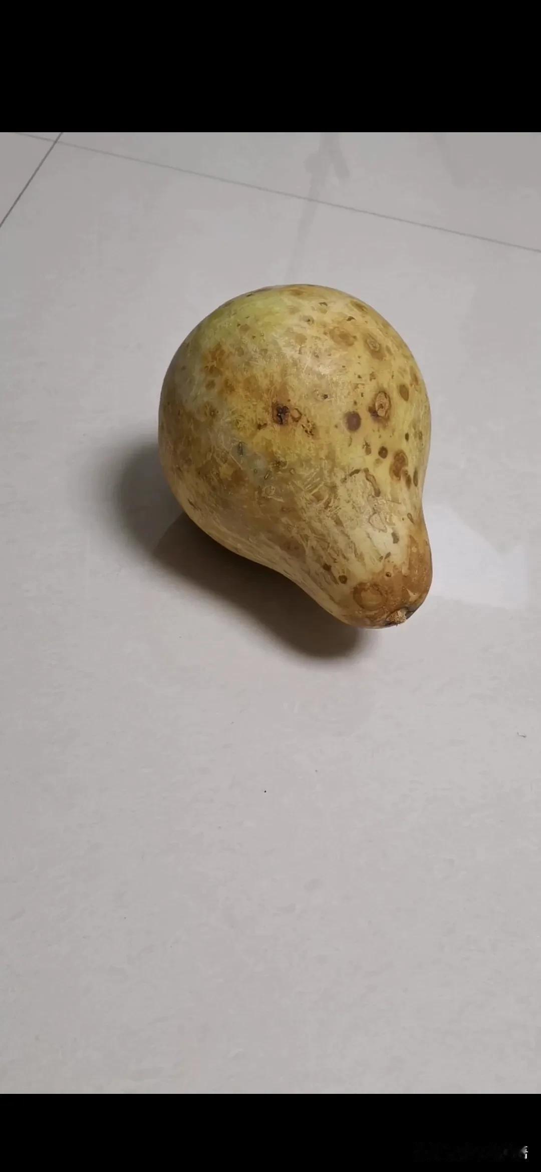 从来不曾想过，有一天要每日提心吊胆，害怕阳了，抗不过新冠。害怕阴了，抗不过后遗症