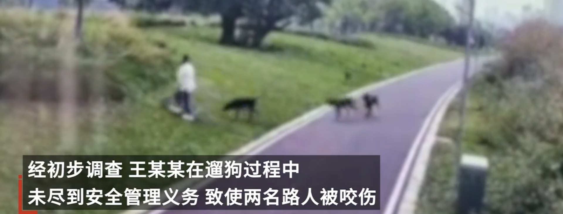 江西赣州警方通报母女被恶犬咬伤  我靠，我看视频是四只！！四只大狗，没有拴着跑过