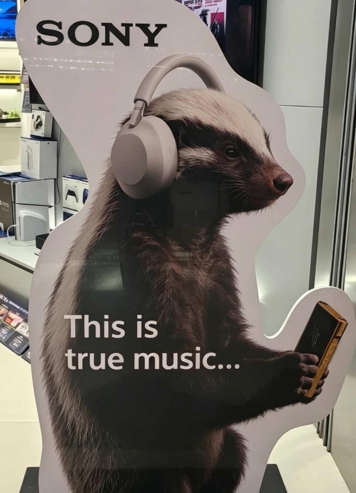 Sony耳机应该用平头哥打广告
压的我头顶都要秃了！！！
Sony
Sonyxm