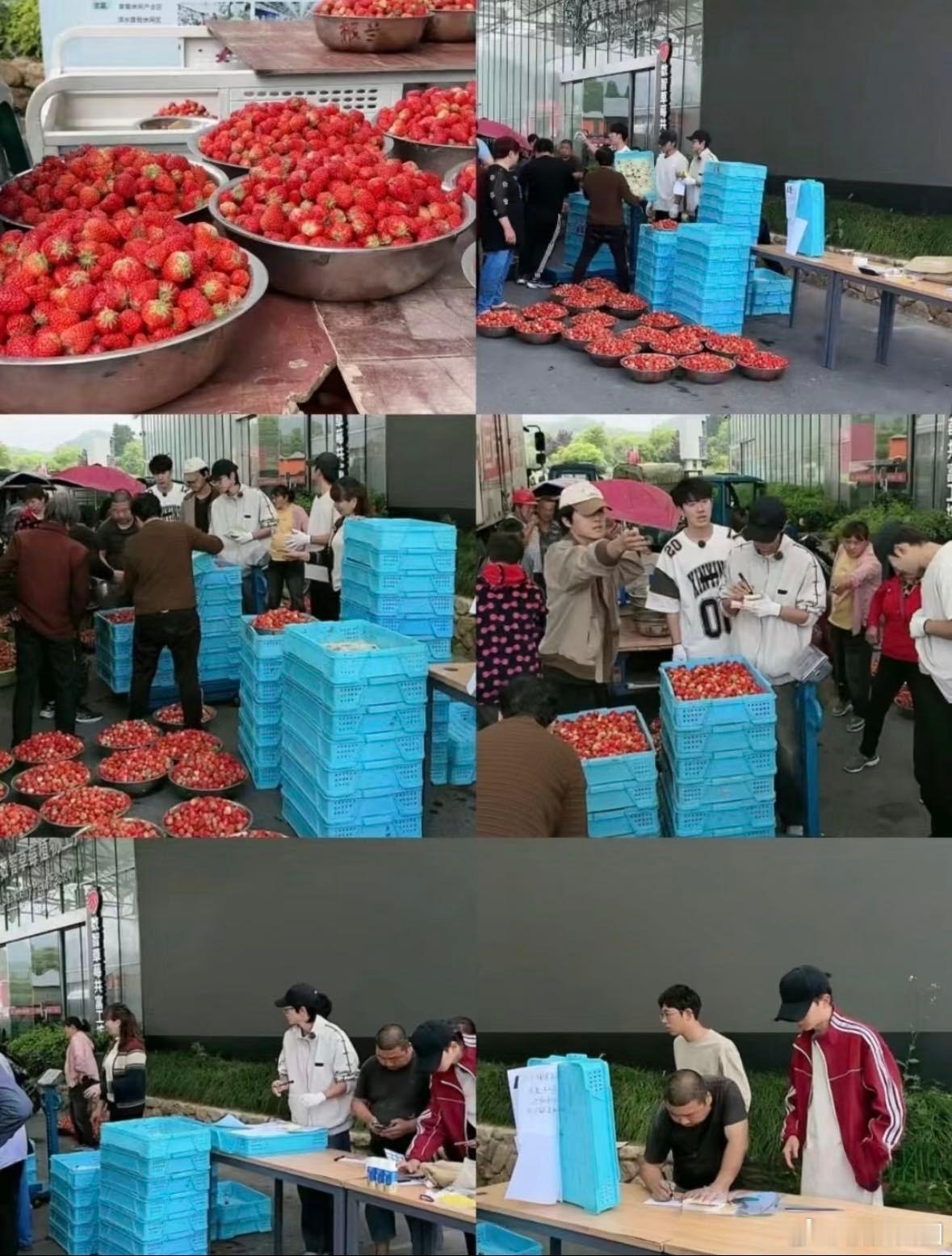 十个勤天到底瞒着大家干了多少事不止在后陡门种地，新疆卖空90吨大枣、墨脱实地助农