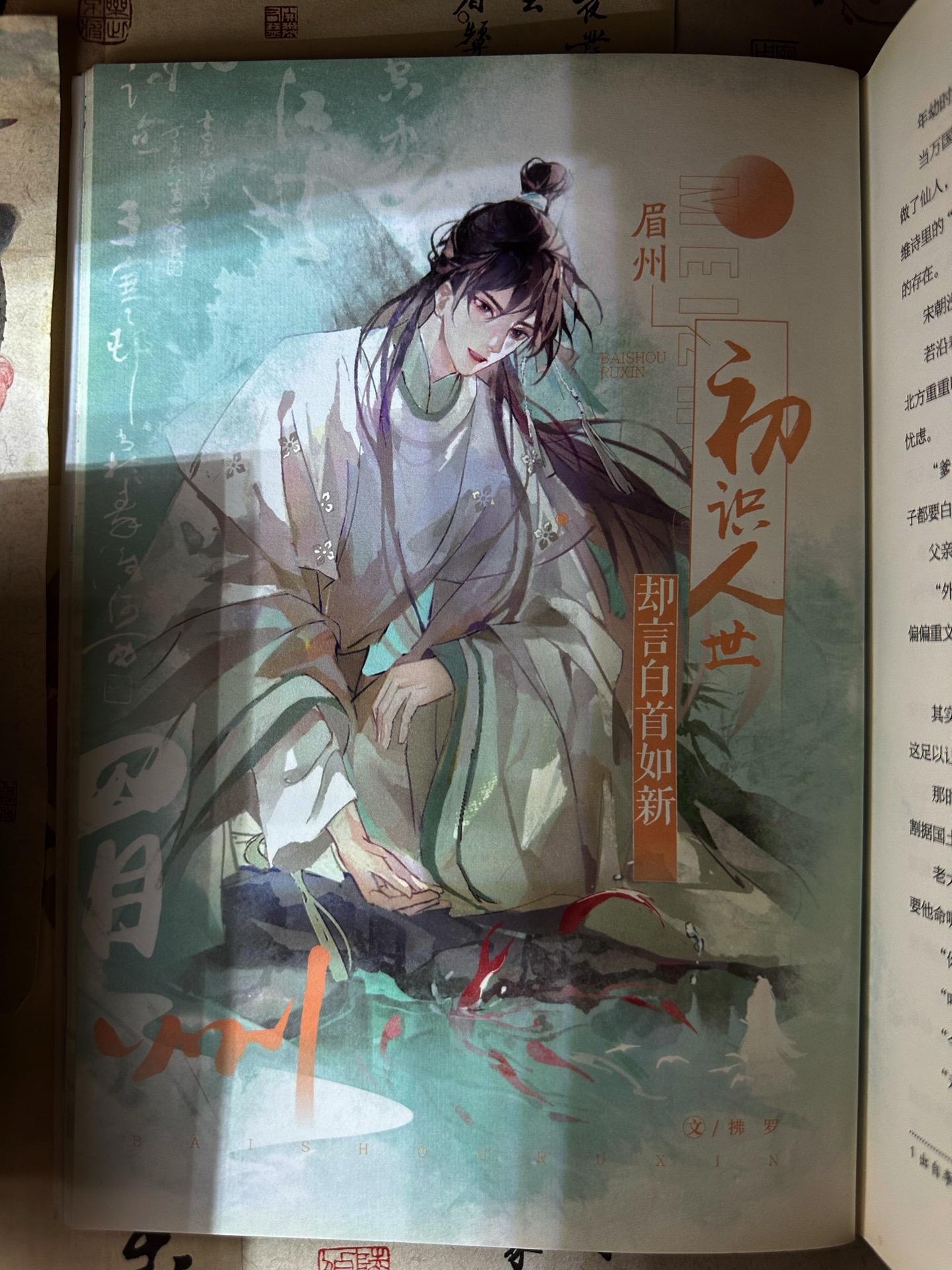 我那书生意气的老祖宗苏轼啊~人间惊鸿客