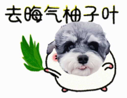 给首页 