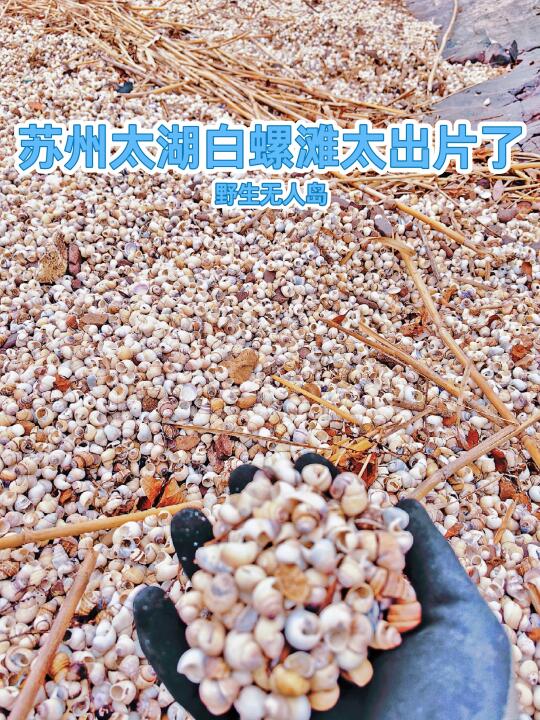 苏州太湖无人岛—白螺滩