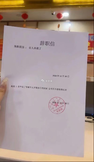 这是我的理想辞职了。 ​​​