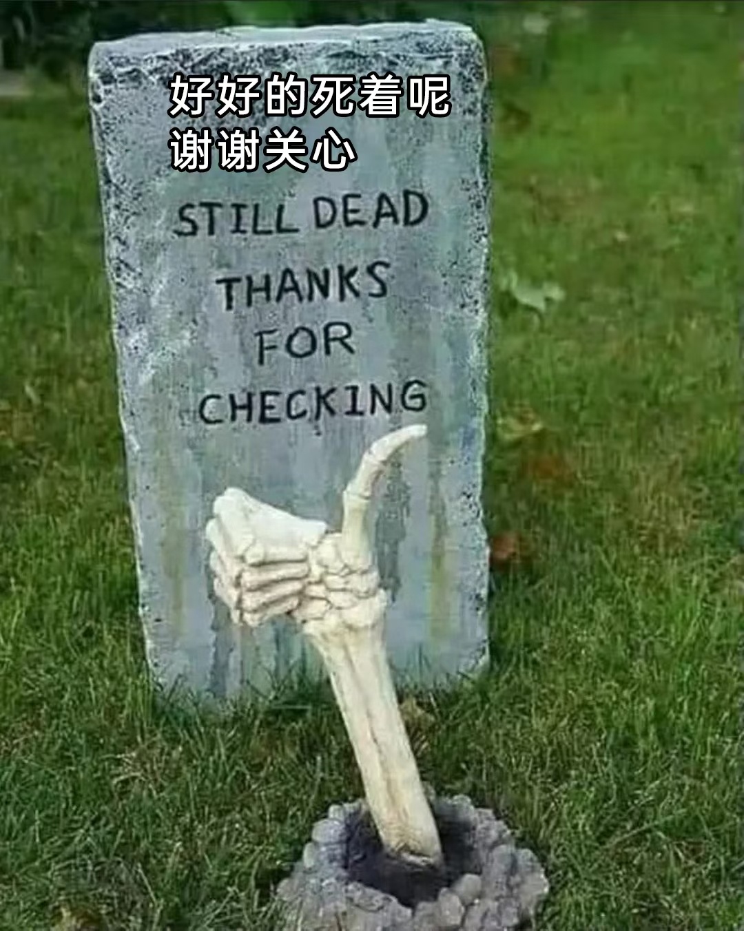 没逝没逝 ​​​