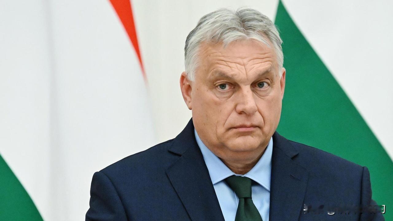 欧尔班：在乌出现哪怕一个西方士兵都意味着与俄开战

匈牙利总理欧尔班称，若未与俄