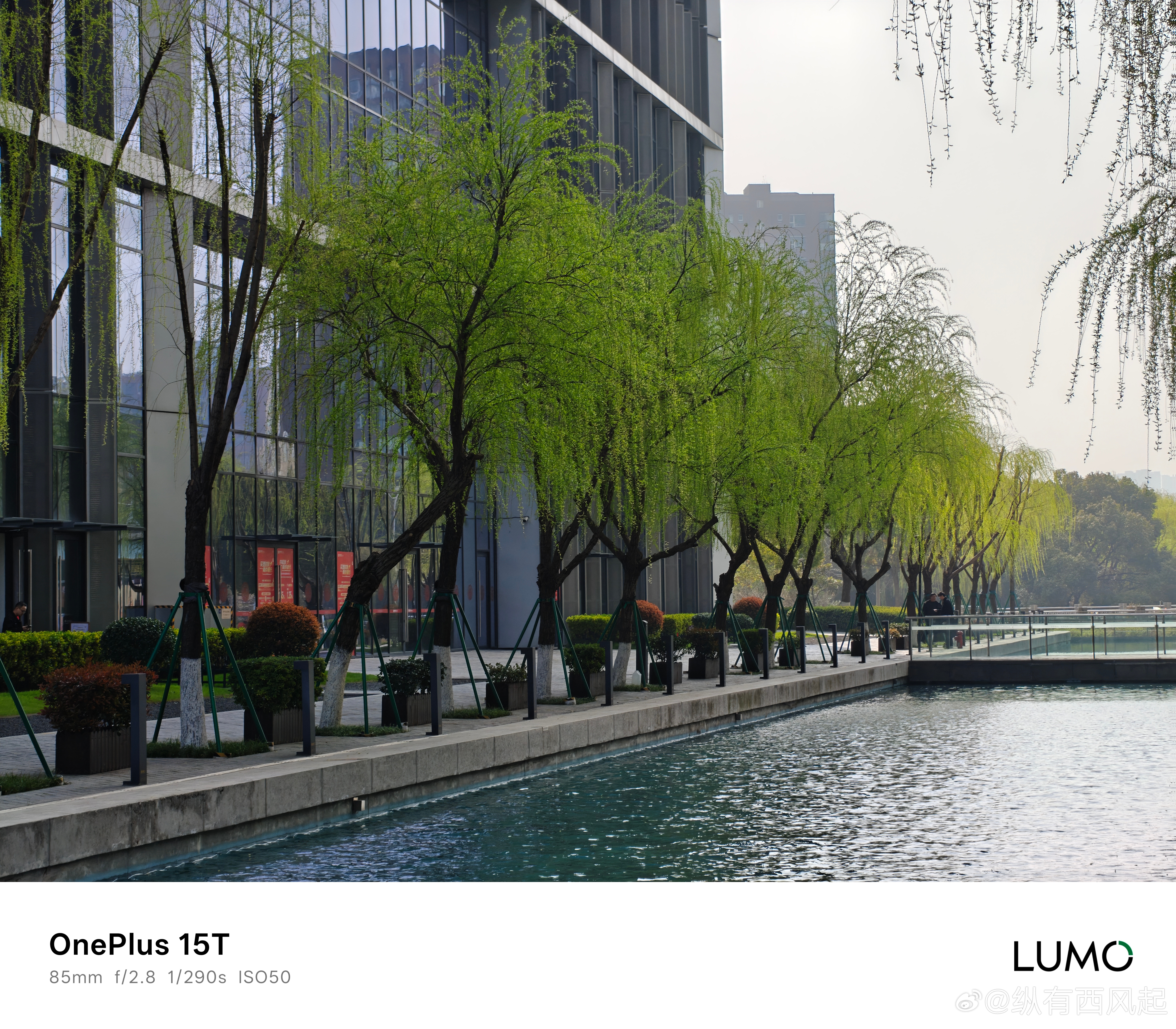 早，感觉今年的春天来的晚了一些，柳树最近才刚刚绿叶多了起来每天早起打卡