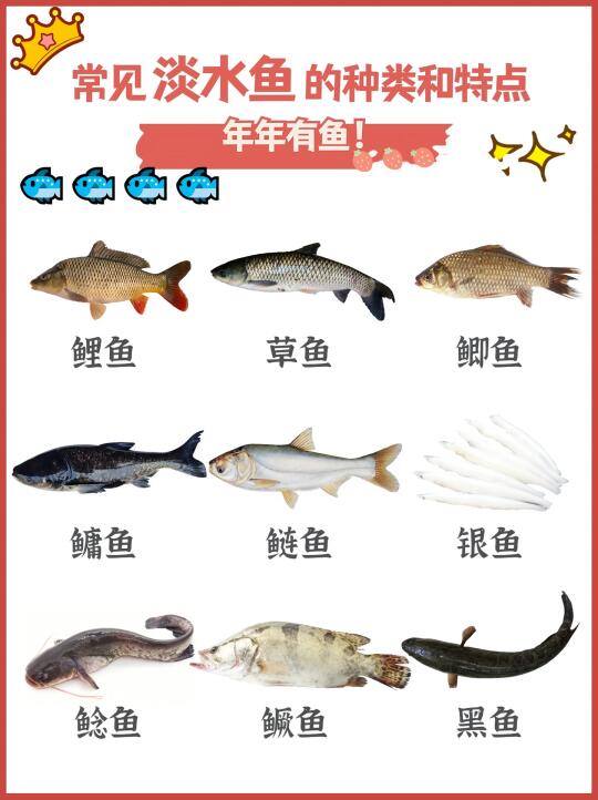 🐟淡水鱼知识+美味做法大公开！