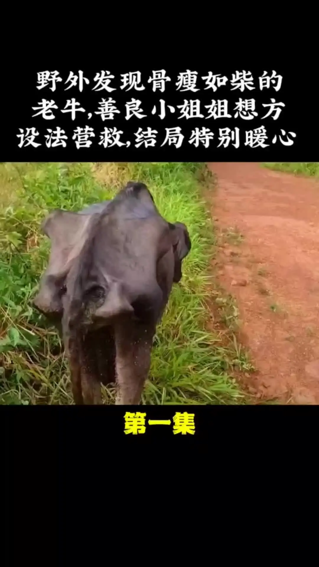 内容启发搜索 我的观影报告