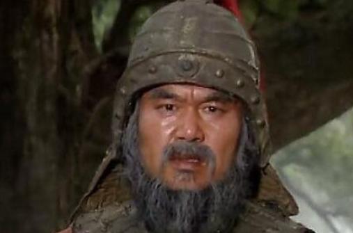 邓艾小时候是一个放牛娃，就是这样一个放牛娃，胸怀大志，有志者事竟成，最终成为一代
