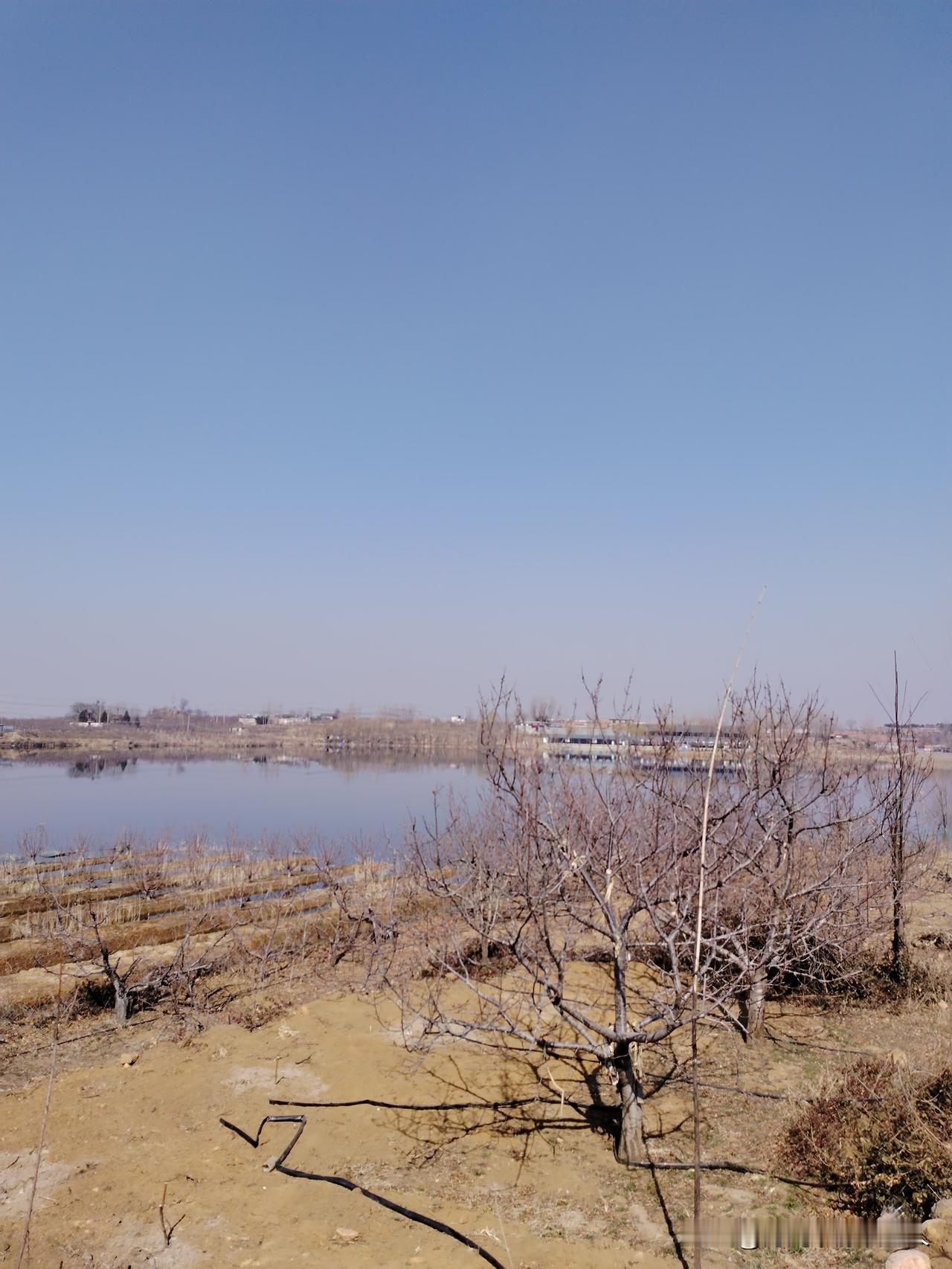 站在这方小天地里，心里一下子就敞亮了。
 
天是那种透亮的蓝，没有一丝云絮，像被