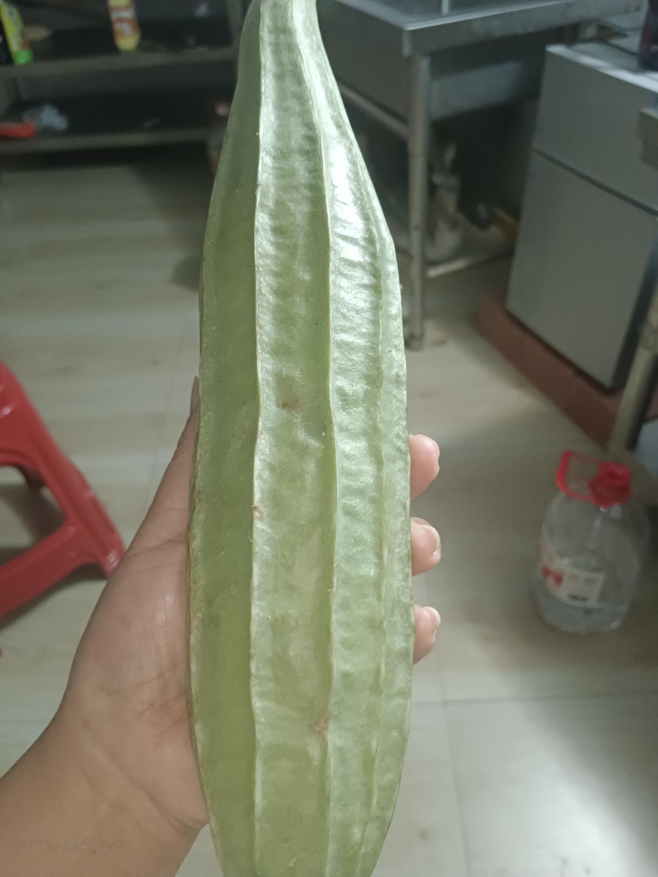 大家知道这叫什么吗？这是我今天花了2.3元卖了一根，只是好奇没见到过，又不好意思
