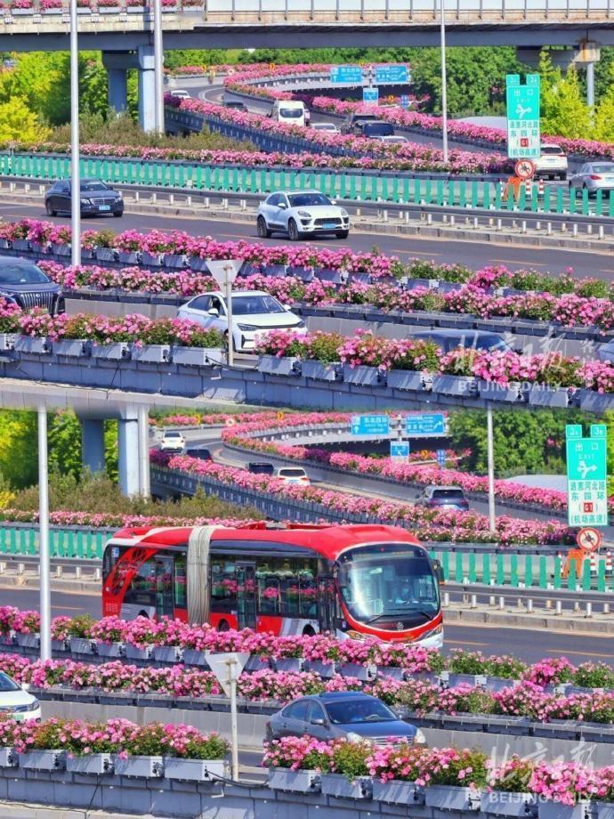 这时候来北京，都是看花来的，说那位呢