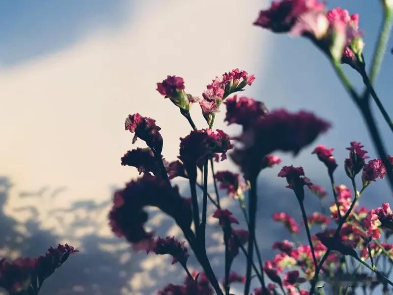 天呐！天秤座2026年1月21日运势开挂啦！
这一天简直好运爆棚！家庭里能感受到