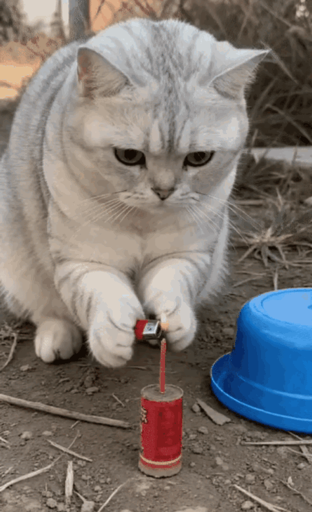 哈哈哈，它这一笑，瞬间天都晴了！