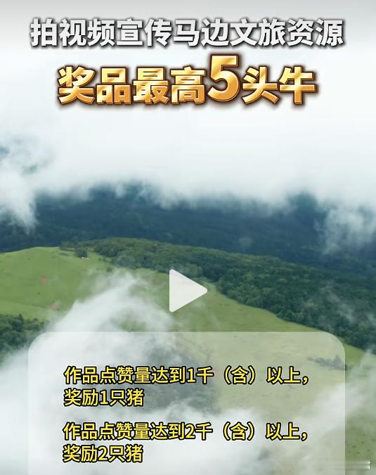 拍视频宣传马边奖励猪牛羊 乐山市马边彝族自治县太实在了！拍视频宣传马边文旅资源，