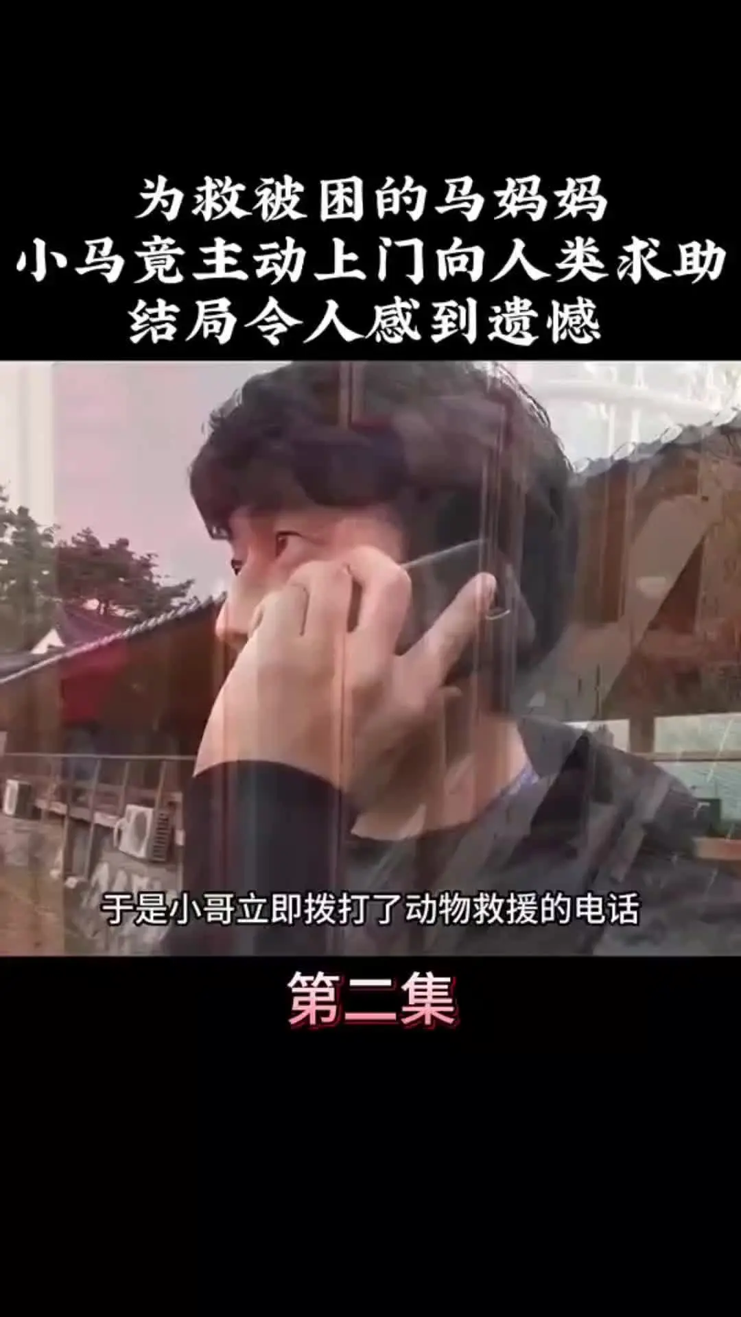万物皆有灵性 神奇动物在 动物解说 动物世界