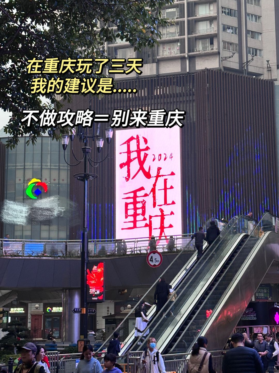 在重庆玩了三天三夜，我的建议是