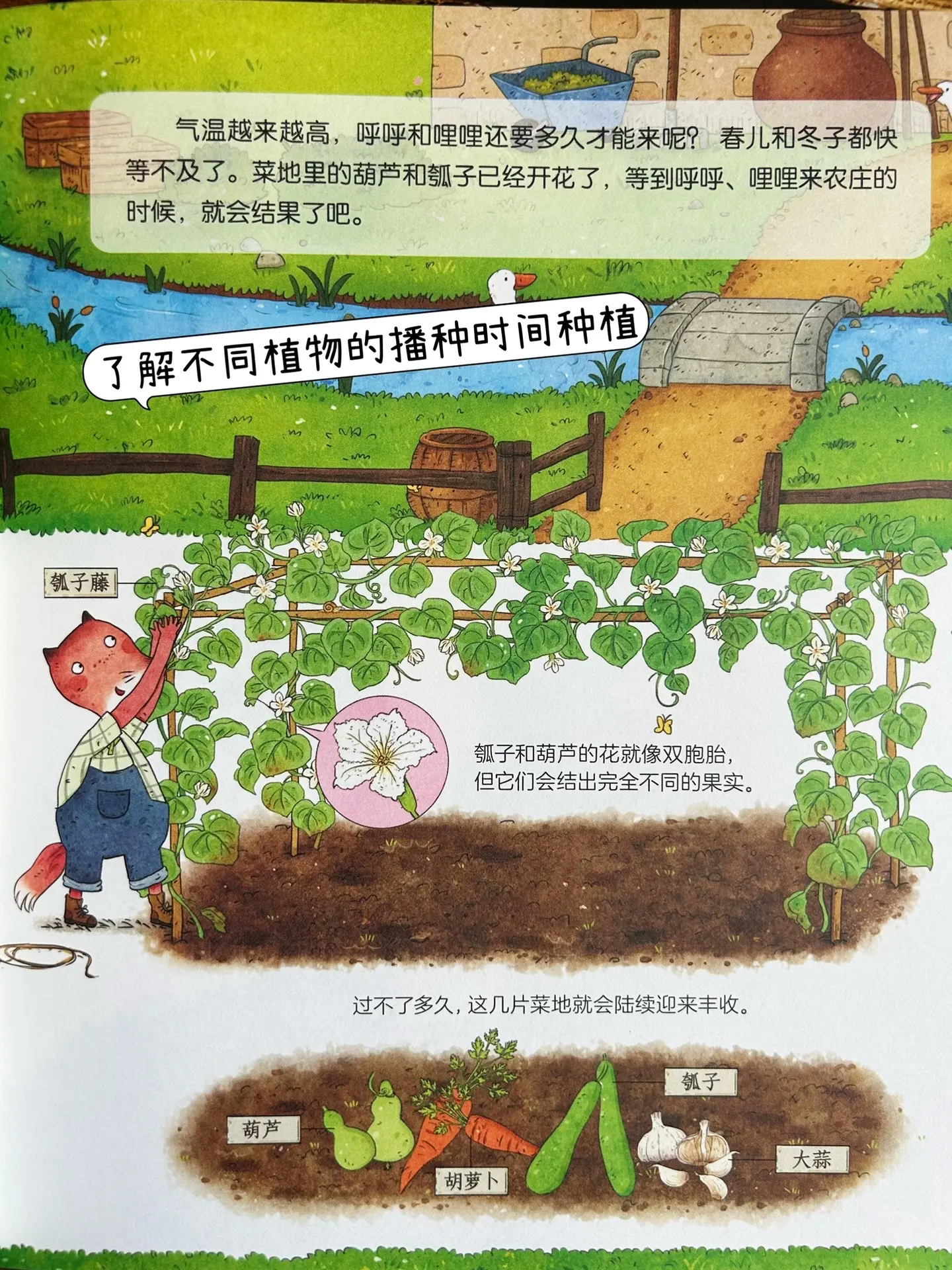 让孩子识五谷、知节气、勤四肢、明事理！一定要陪孩子看看这套优质绘本，太...