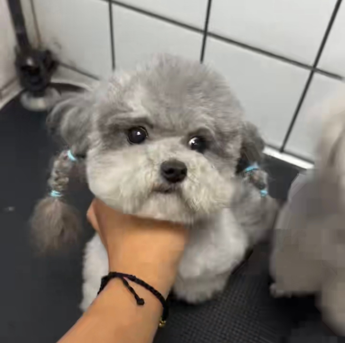 喜欢看吗？不喜欢我不发啦我的日常plog生活记录