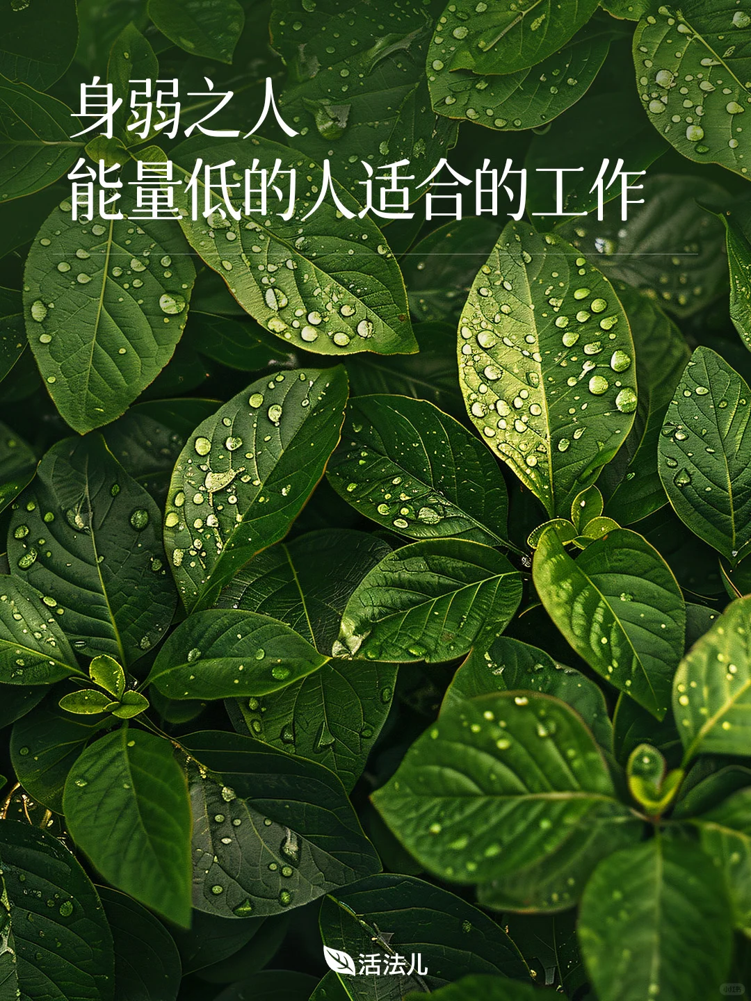 气血不足、身弱之人适合那些工作？