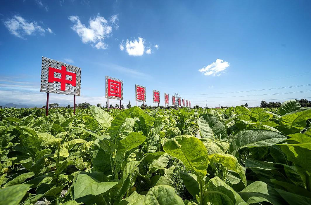 我在头条晒家乡 我是从湖南远嫁到四川什邡的，对什邡只是略知一二，详细的就由评论区