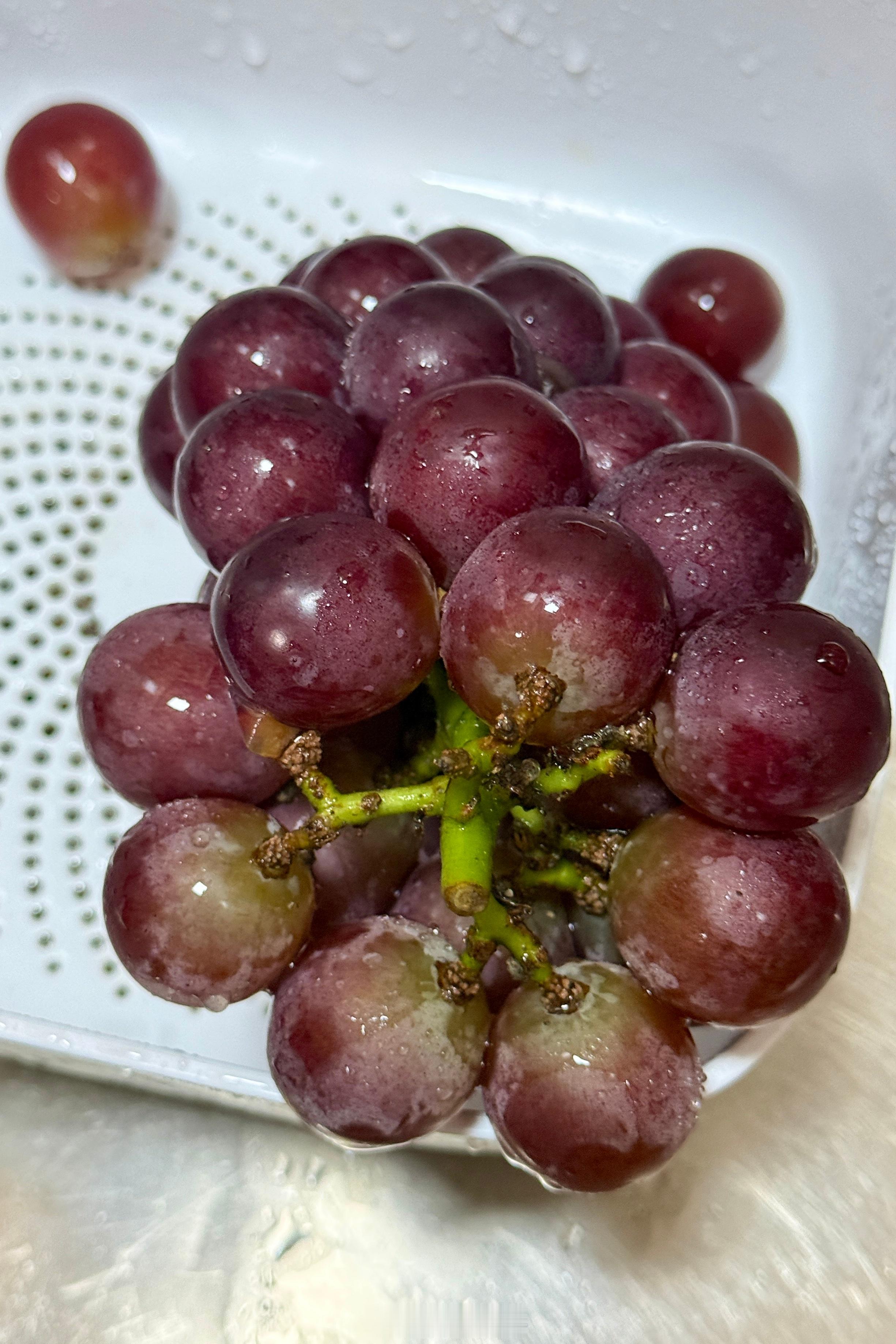圆鼓鼓的葡萄🍇 