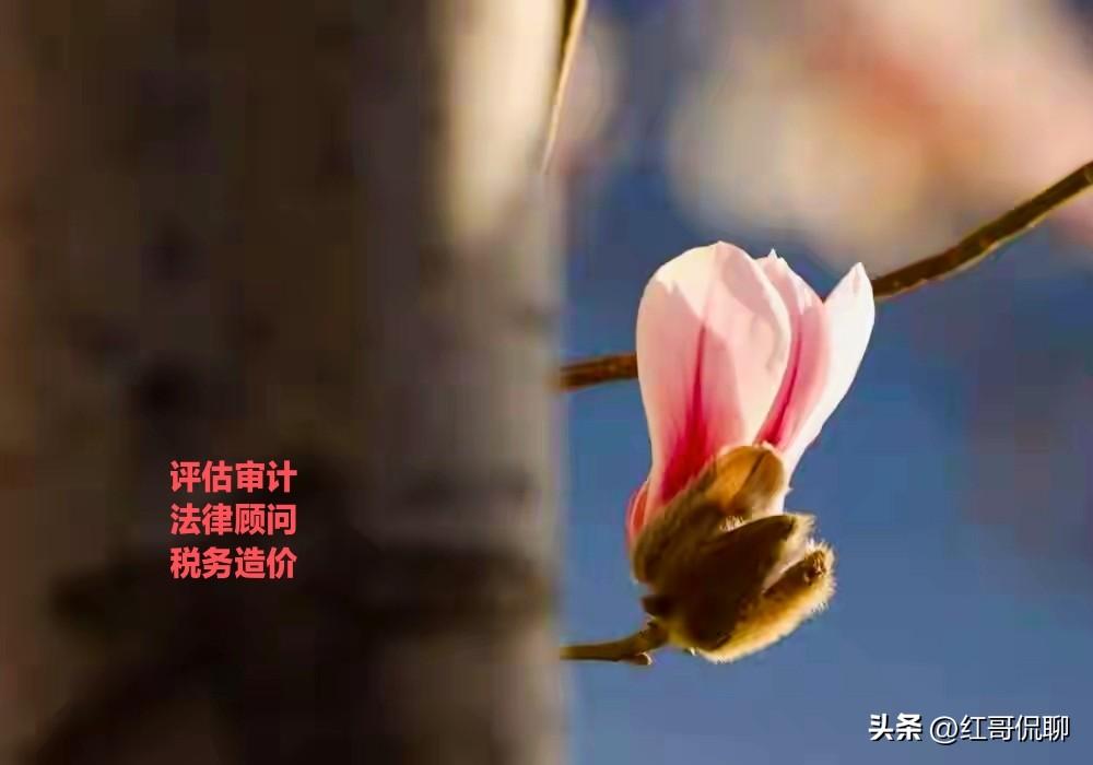 一、基础理论（核心入门）
结晶学与矿物学：晶体/非晶体、七大晶系、对称、双晶、结