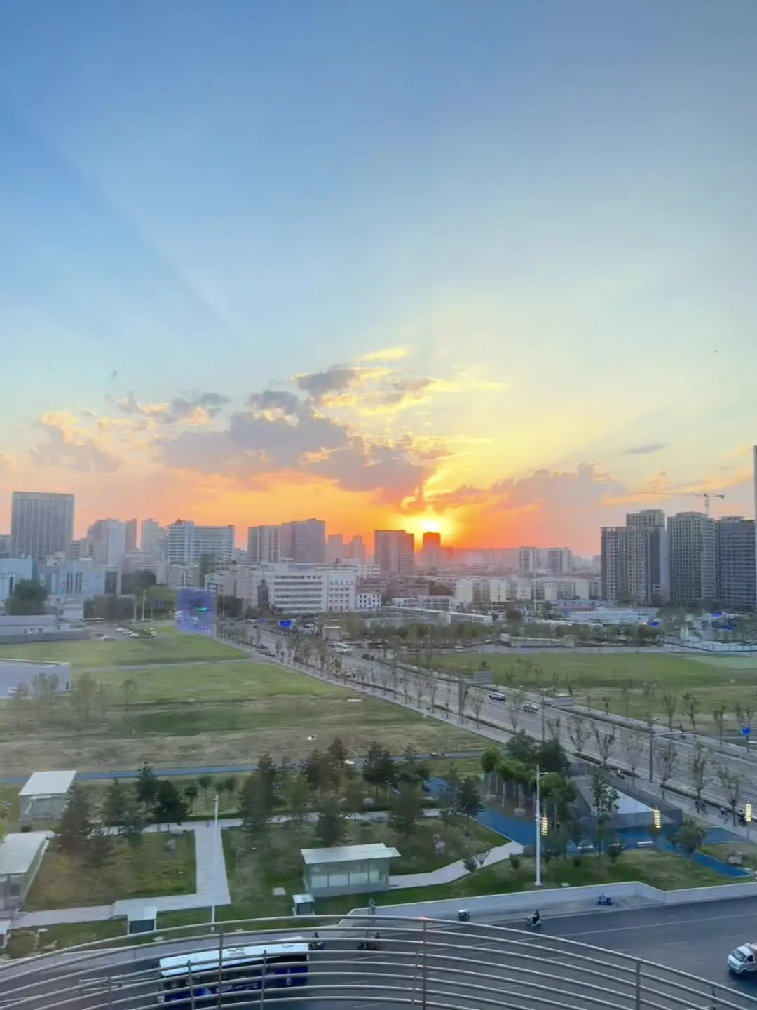 世界上确实有很多迷人的花，但谁又不喜欢有结果的树呢