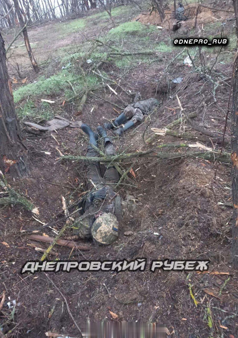 赫尔松州几名乌克兰士兵在登陆第聂伯罗河左岸后被俄军杀死，他们挖的临时工事看起来只
