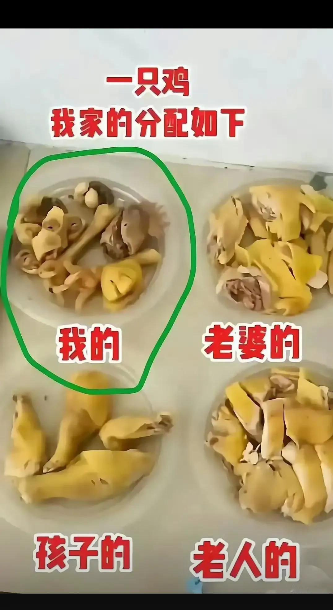 一只鸡我分配的怎么样？？？？