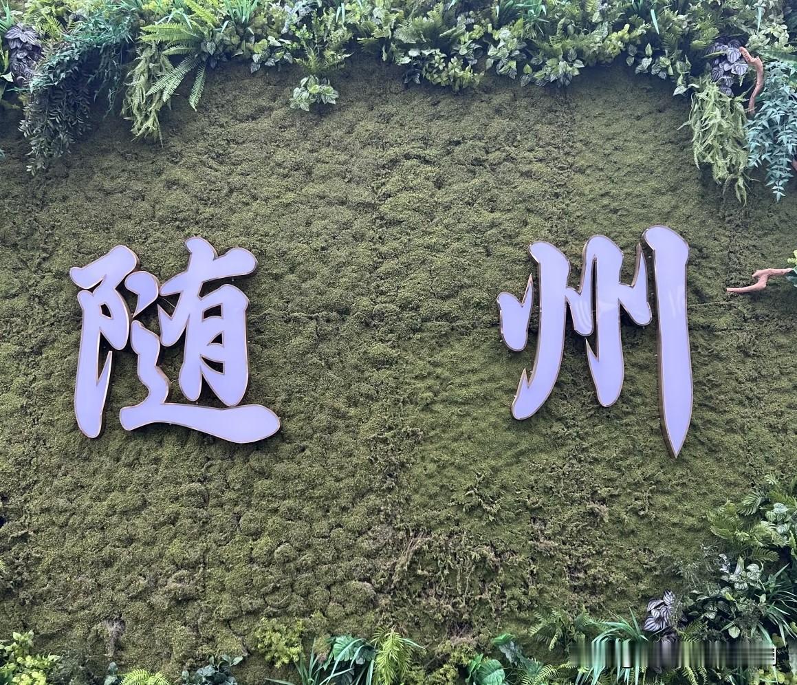 近日，湖北随州一位28岁的未婚女青年很是纠结。

她是北京某211大学的在读博士