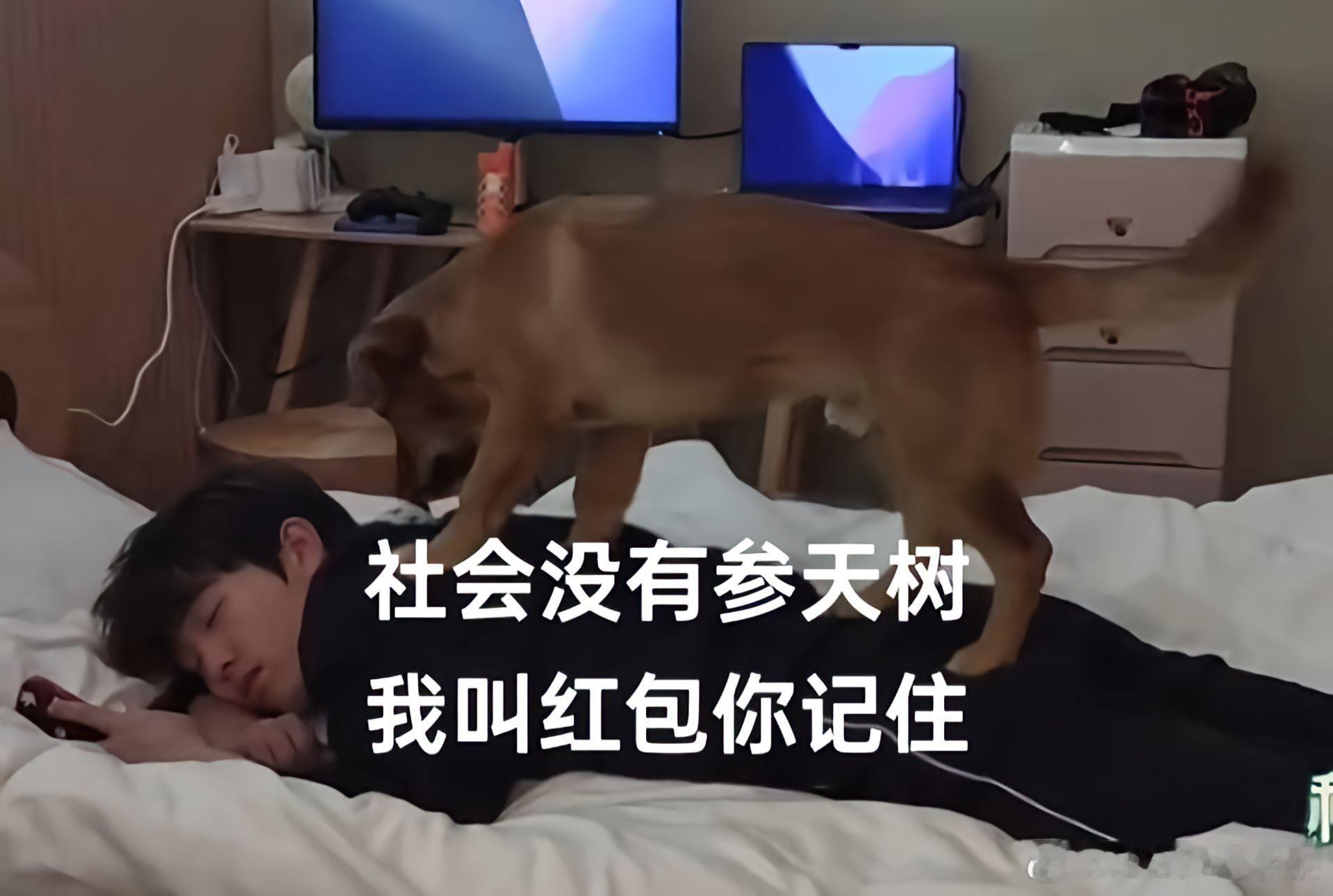 红包：社会险恶我不怕，我把我爸踩脚下/.小童：红包纯没素质[坏笑][坏笑]十个勤