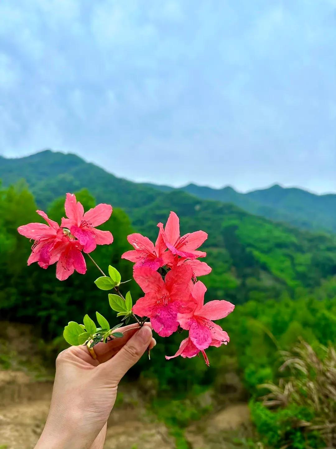 1. 父母无养老金者，不嫁；
2. 非独生子的，不嫁；
3. 非体制内的，不嫁；