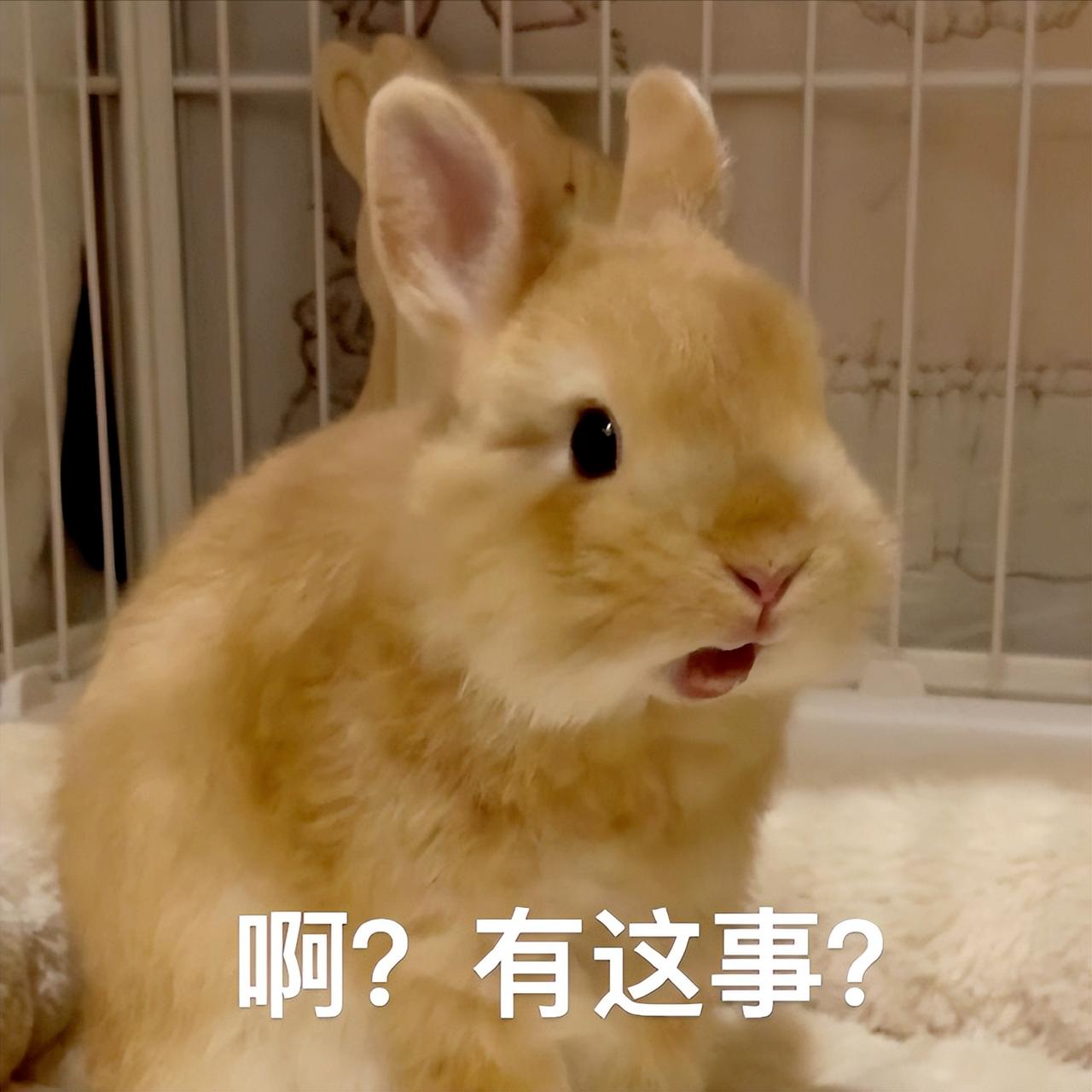 金星落宫，看懂你遇见正缘的方式

金1：出门打扮自己，一见钟情，对方主动追
金2