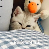 荔枝润热看体育