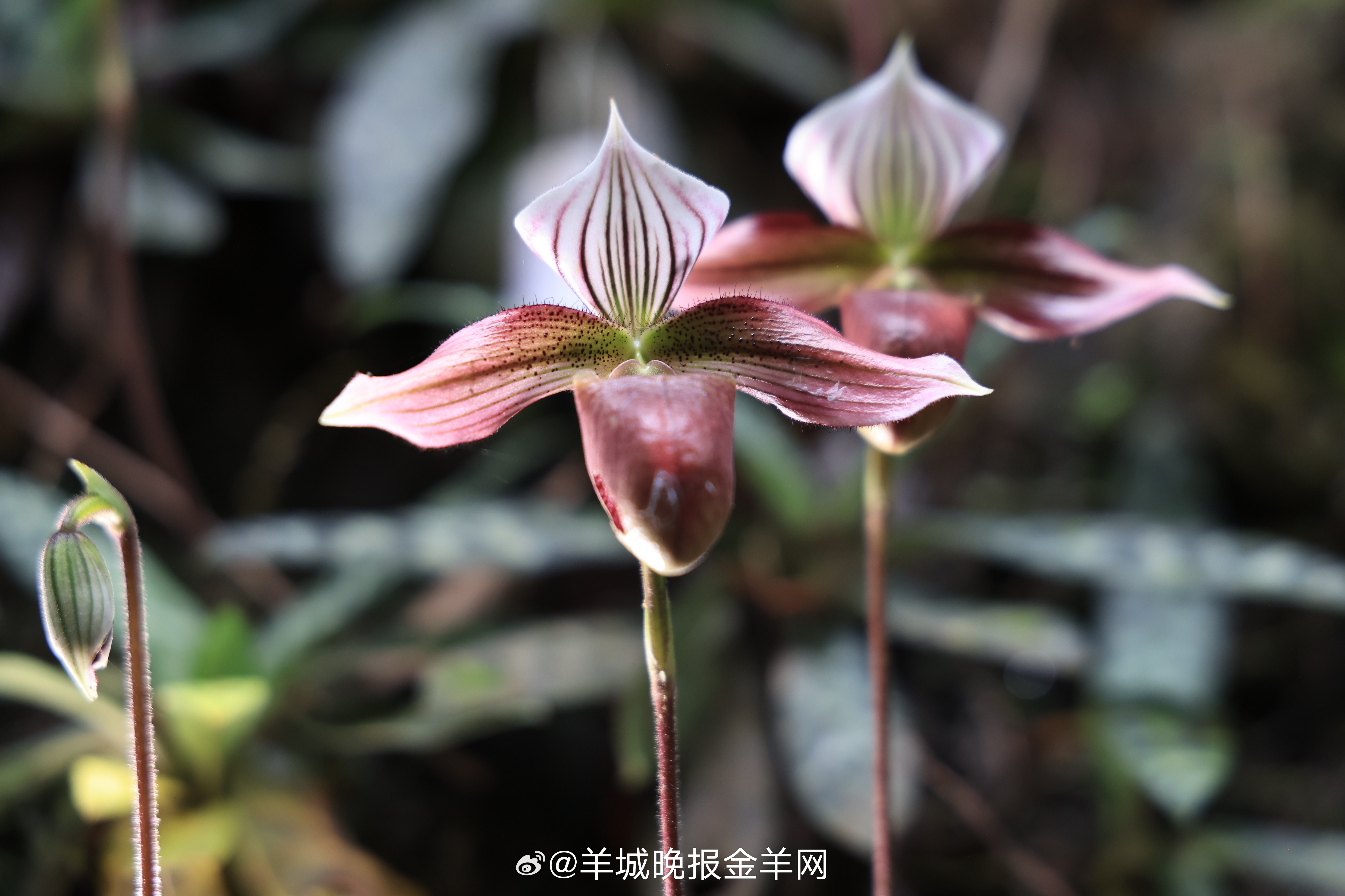 #晚安#失败了也没关系，给自己一点时间，下一站，一切终将如你所愿。 