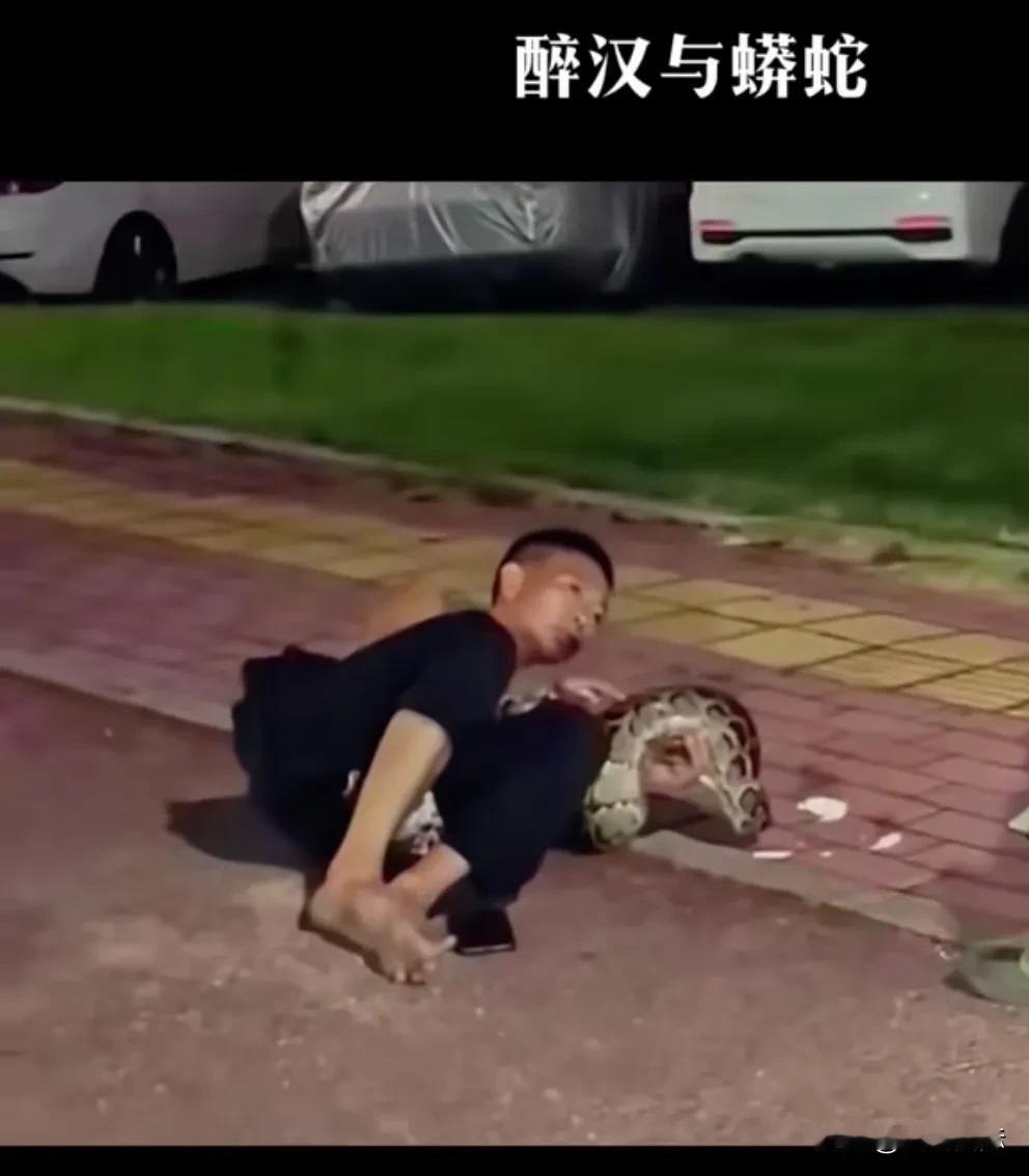 昔有武松酒后打虎
今有醉汉勇擒蟒蛇
算是长了见识