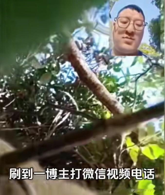 拨打丢失的手机居然接通了，接起电话的却是一只猴子。
 
博主给丢失的手机打去视频