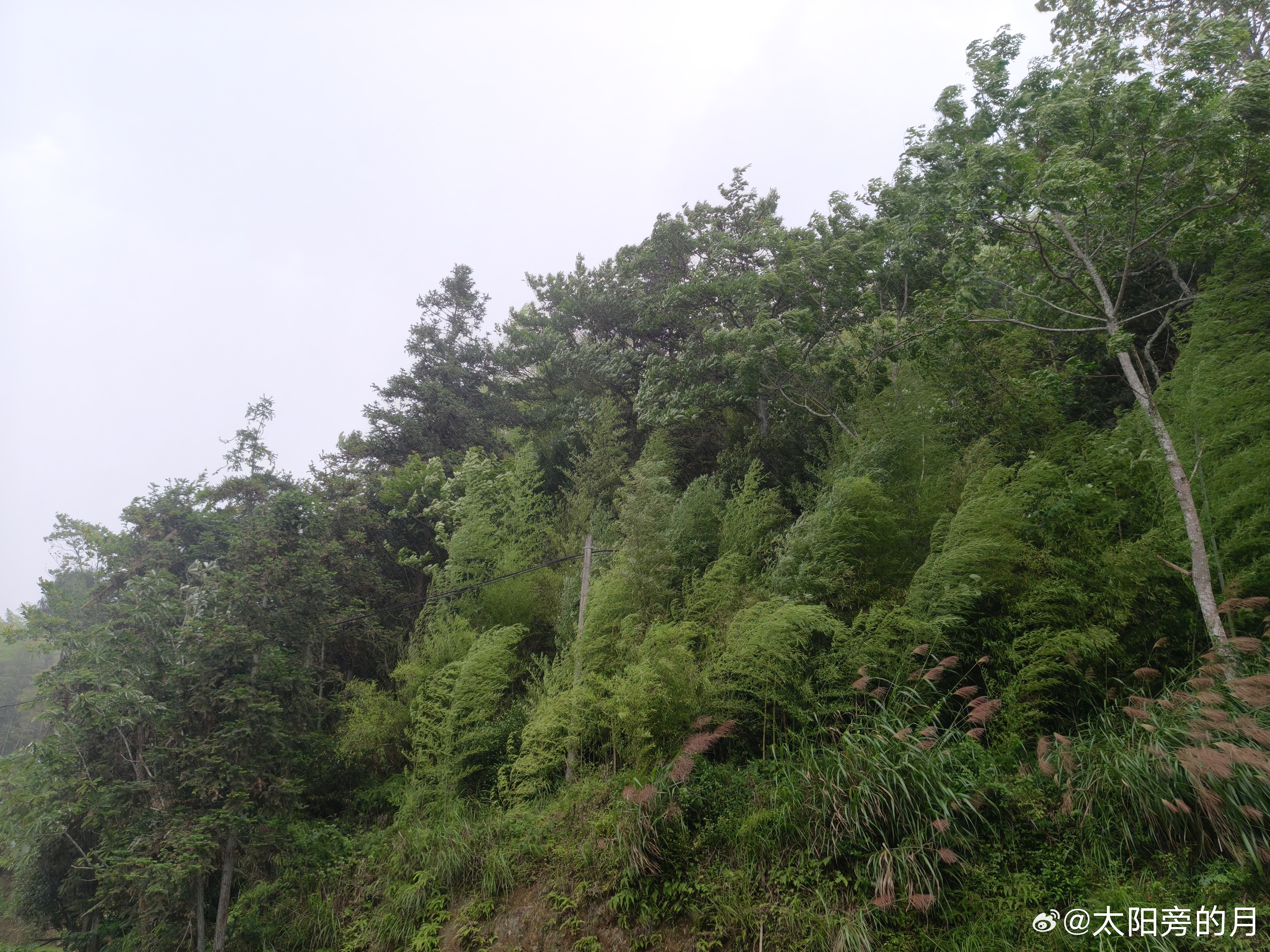 黄岩 狂风暴雨 