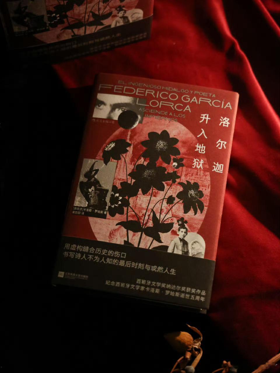 这本书后劲儿太大了我的私人宝藏书单书评 📚《洛尔迦升入地狱》出版社： 出品方：